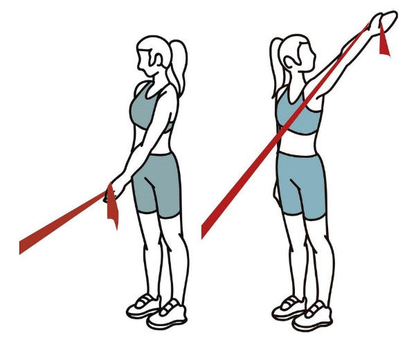 Diagonal Shoulder Flexion ><