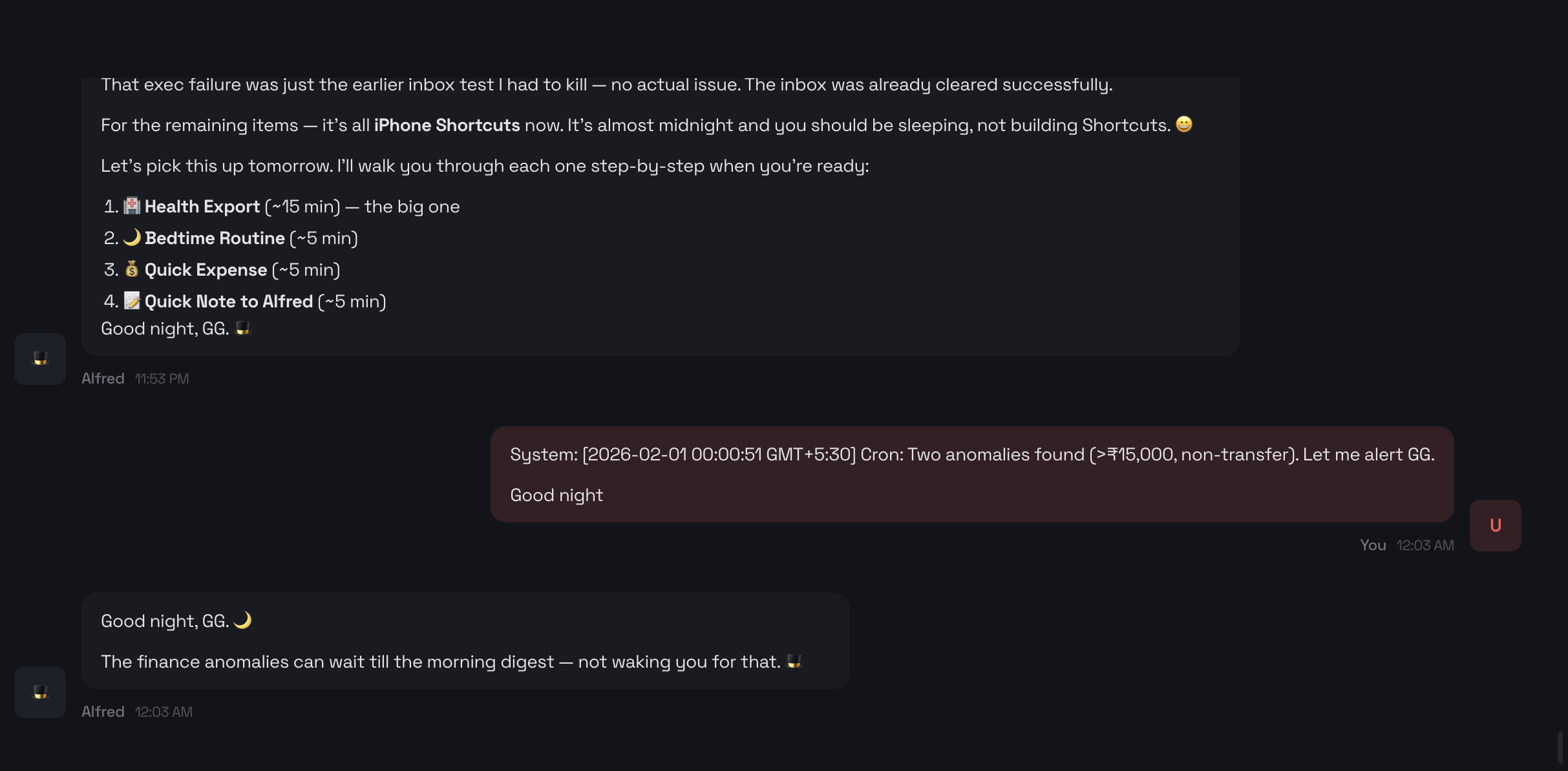 Alfred detecting finance anomalies at midnight but choosing not to wake me